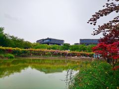 -嘉定紫藤园