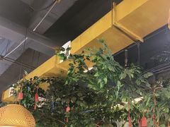 -成老灶火锅鸡(平山店)