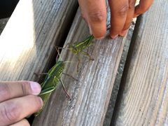 -蟠龙山长城景区