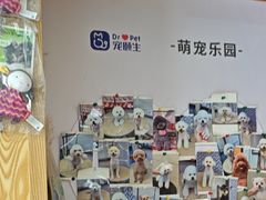 -宠颐生宠物医院·异宠猫科内科·诊疗中心宠巢店