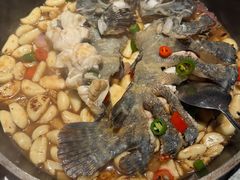 灶烧龙胆鱼-渔傅·霞浦滩涂海鲜(建平店)