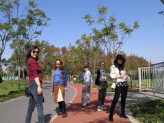 -上海长兴岛郊野公园