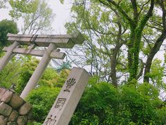 -名古屋城