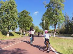 -白鹭湾湿地公园