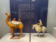 -镇江博物馆