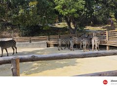 -泉州海丝野生动物世界