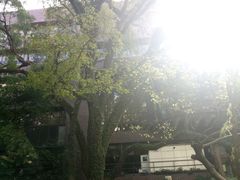 -香港大学