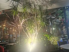 -听香·678茶铺(猛追湾店)