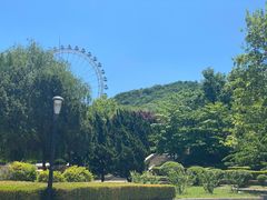 -富斯特索道