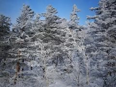 景点-亚布力新体委滑雪场