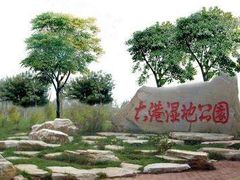 -大港湿地公园