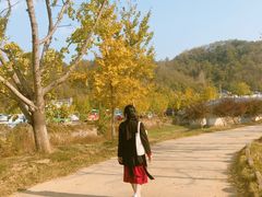 -千年银杏谷文化旅游区