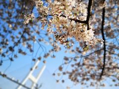 -上海南浦大桥长途旅游客运站