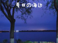-丁香湖公园