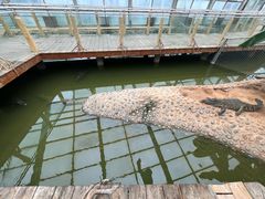 -石家庄市动物园