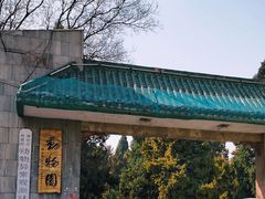 -保定市动物园