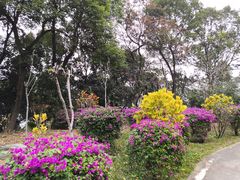 -广州市帽峰山景区