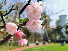 -静安雕塑公园