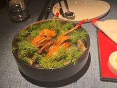 -弦月窗LUNETTE BY AMANDA(复兴路店)