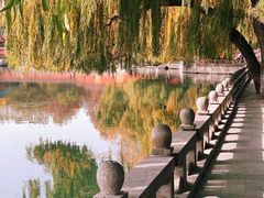 -百脉泉景区