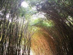 -苏州河梦清园环保主题公园