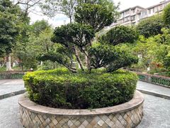 -广州神农草堂中医药博物馆
