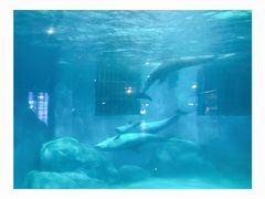 -福州罗源湾海洋世界旅游区