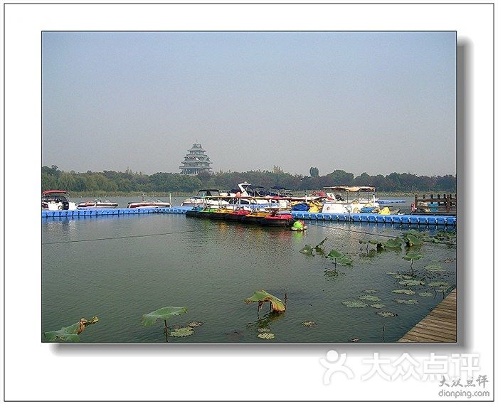 金鸡湖桃花岛桃花岛码头图片-北京自然风光-大众点评网