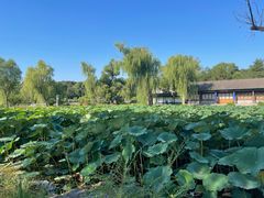 -承德避暑山庄景区
