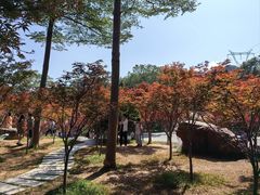 -广州市帽峰山景区