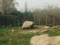 -西安秦岭野生动物园