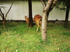 -观唐（国际）度假村温泉