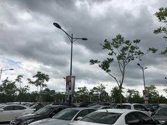 -迪士尼乐园停车场