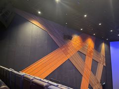 -金逸影城(大悦城IMAX激光店)