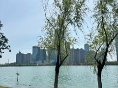 -天鹅湖体育公园