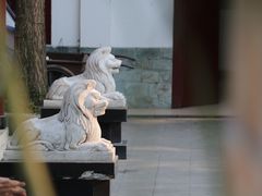 -郫都区农科村景区