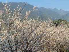 -广州市流溪河国家森林公园