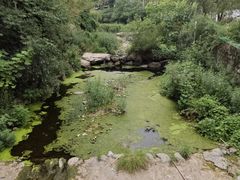-西安祥峪森林公园