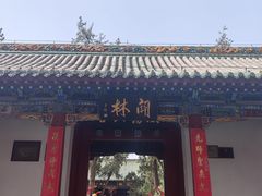 -关林