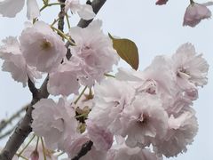 -观澜湖生态运动公社