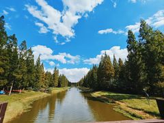 -黄海国家森林公园