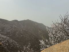 -北京凤凰岭