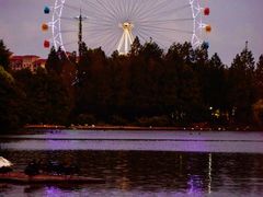 -上海野生动物园