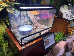 -酷嗒动物文化乐园(cutezoo西溪乐天城店)