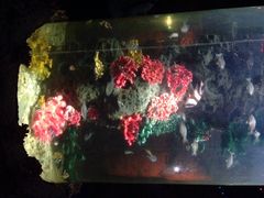 南昌海洋馆-南昌海洋公园