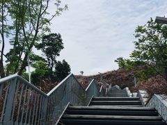 -白石龙音乐公园