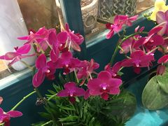-BOBLOOM花店(宝龙旭辉广场店)
