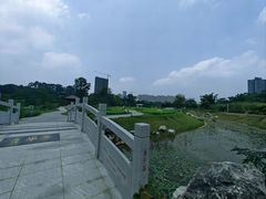 -广西壮族自治区药用植物园