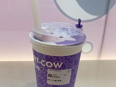 -一只酸奶牛(洪崖洞11楼店)