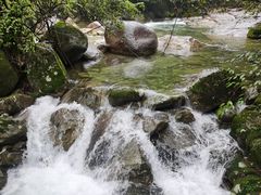 -大鄣山卧龙谷景区
